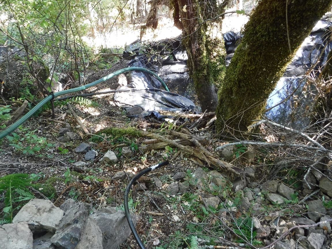 Search Warrant - Case 201603973